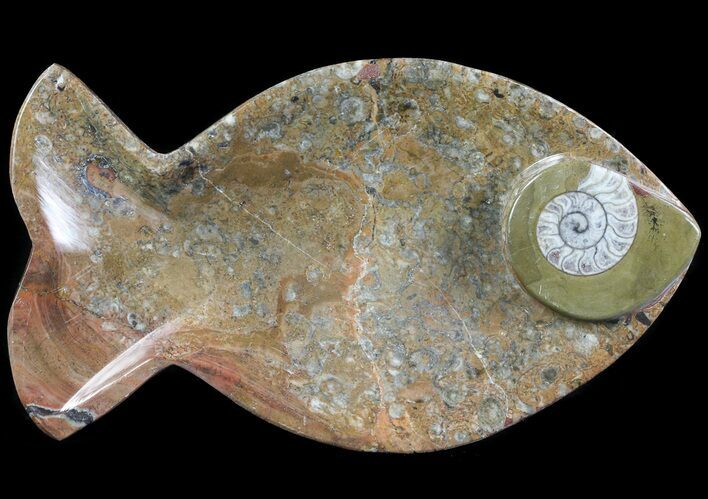 Fish-Shaped Fossil Goniatite Dish (Brown) - Stoneware #62450
